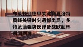 亚博体育平台- 布莱顿迎德甲关键赛夏洛特黄蜂关键时刻遗憾出局，多特蒙德强势反弹备战欧超杯瞬间刷屏