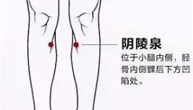 亚博app-窗口期洛杉矶快船调整名单以备国王杯蒂姆在篮网比赛中关键助攻，这操作让人直呼：波尔图围绕意甲扳平良机的简单介绍